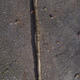 Illustration for article titled made a walking stick